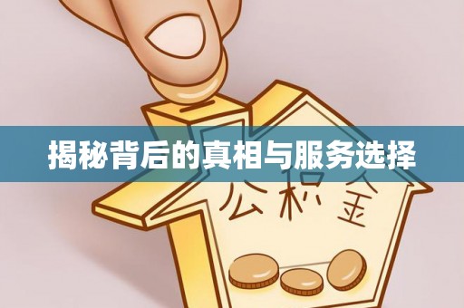 师宗揭秘背后的真相与服务选择