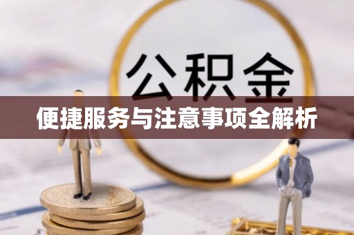 师宗便捷服务与注意事项全解析