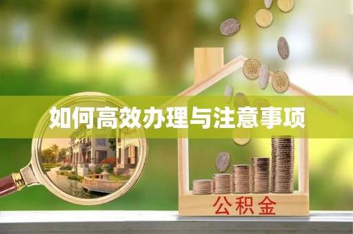 师宗如何高效办理与注意事项