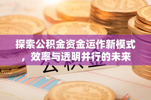 师宗探索公积金资金运作新模式，效率与透明并行的未来