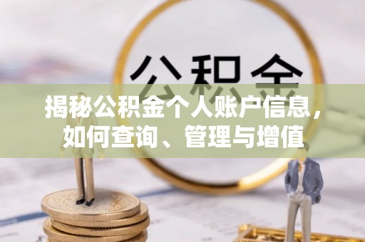 师宗揭秘公积金个人账户信息，如何查询、管理与增值