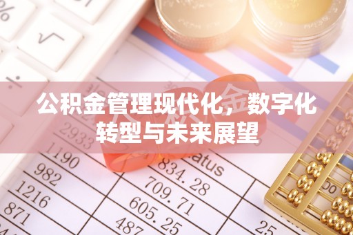 师宗公积金管理现代化，数字化转型与未来展望