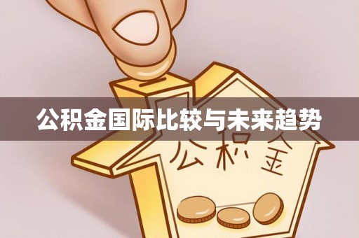 师宗公积金国际比较与未来趋势