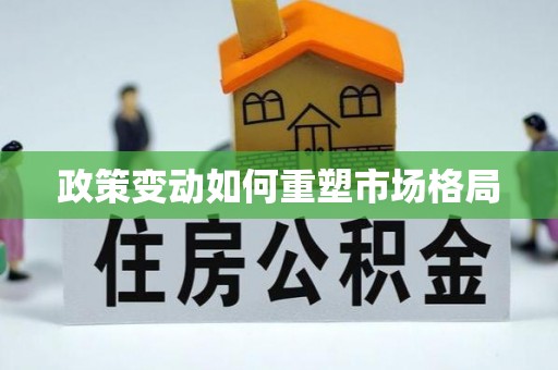 师宗政策变动如何重塑市场格局