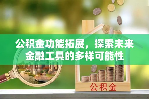 师宗公积金功能拓展，探索未来金融工具的多样可能性