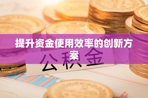 师宗提升资金使用效率的创新方案