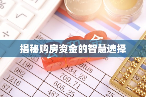 师宗揭秘购房资金的智慧选择