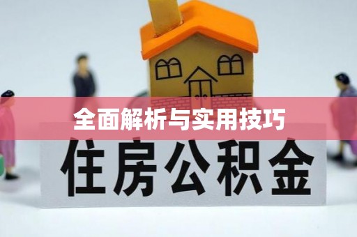 师宗全面解析与实用技巧