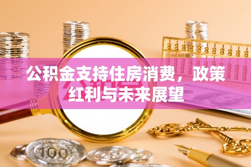 师宗公积金支持住房消费，政策红利与未来展望