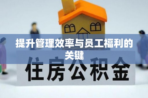 师宗提升管理效率与员工福利的关键