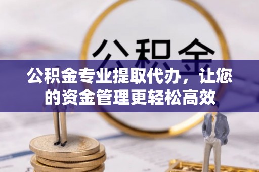 师宗公积金专业提取代办，让您的资金管理更轻松高效