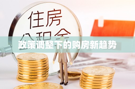 师宗政策调整下的购房新趋势