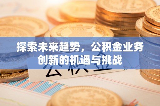 师宗探索未来趋势，公积金业务创新的机遇与挑战