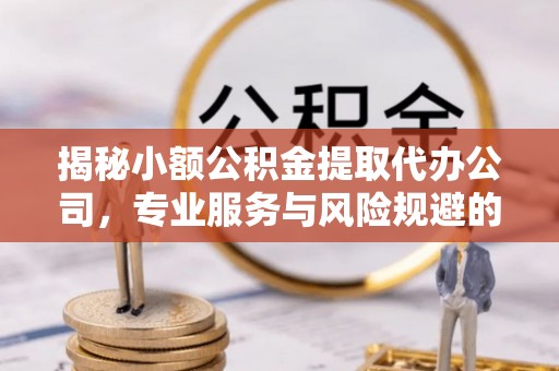 师宗揭秘小额公积金提取代办公司，专业服务与风险规避的平衡艺术