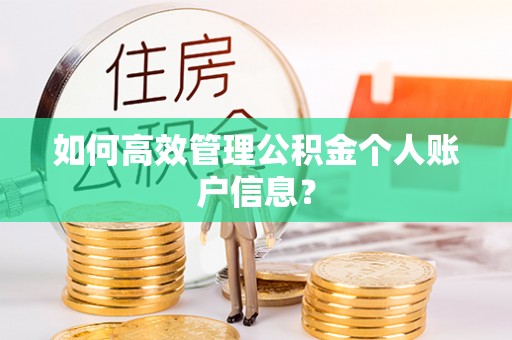 师宗如何高效管理公积金个人账户信息？