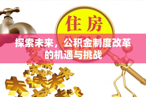 师宗探索未来，公积金制度改革的机遇与挑战