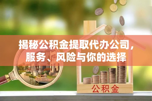 师宗揭秘公积金提取代办公司，服务、风险与你的选择