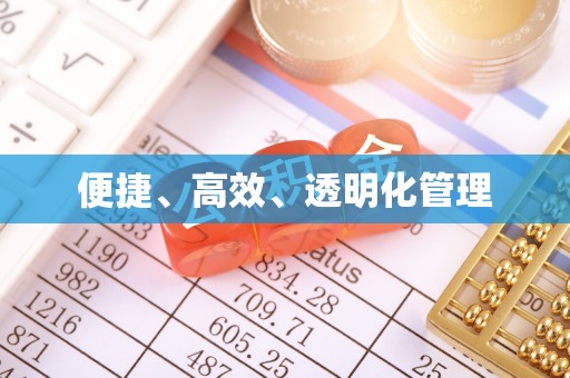 师宗便捷、高效、透明化管理