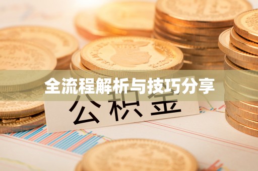 师宗全流程解析与技巧分享