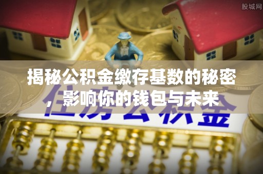 师宗揭秘公积金缴存基数的秘密，影响你的钱包与未来