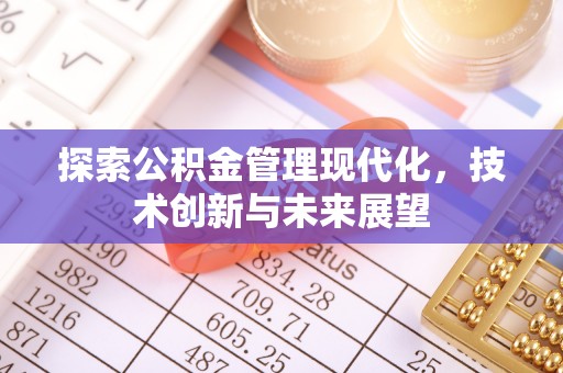 师宗探索公积金管理现代化，技术创新与未来展望