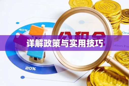 师宗详解政策与实用技巧