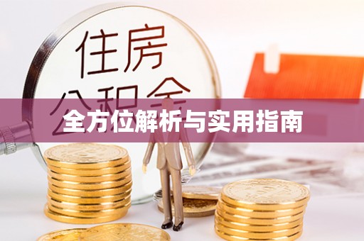 师宗全方位解析与实用指南