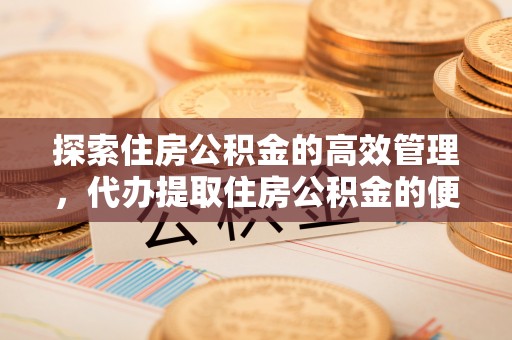 师宗探索住房公积金的高效管理，代办提取住房公积金的便利与注意事项